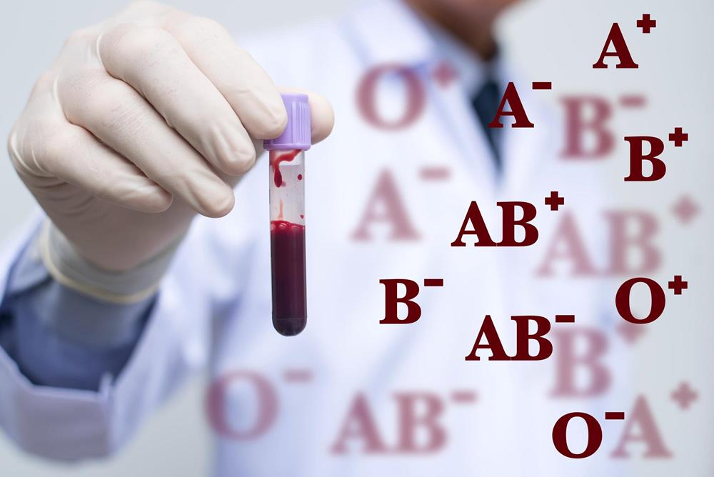 Immunohématologie - Examens et gestion des transfusions